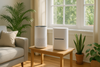 Best Air Purifiers for Home: Top HEPA, Carbon & Smart Picks for Healthier Indoor Air